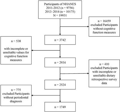 The role of periodontitis in the link between alpha-tocopherol intake and cognitive performance: A mediation analysis in older adults